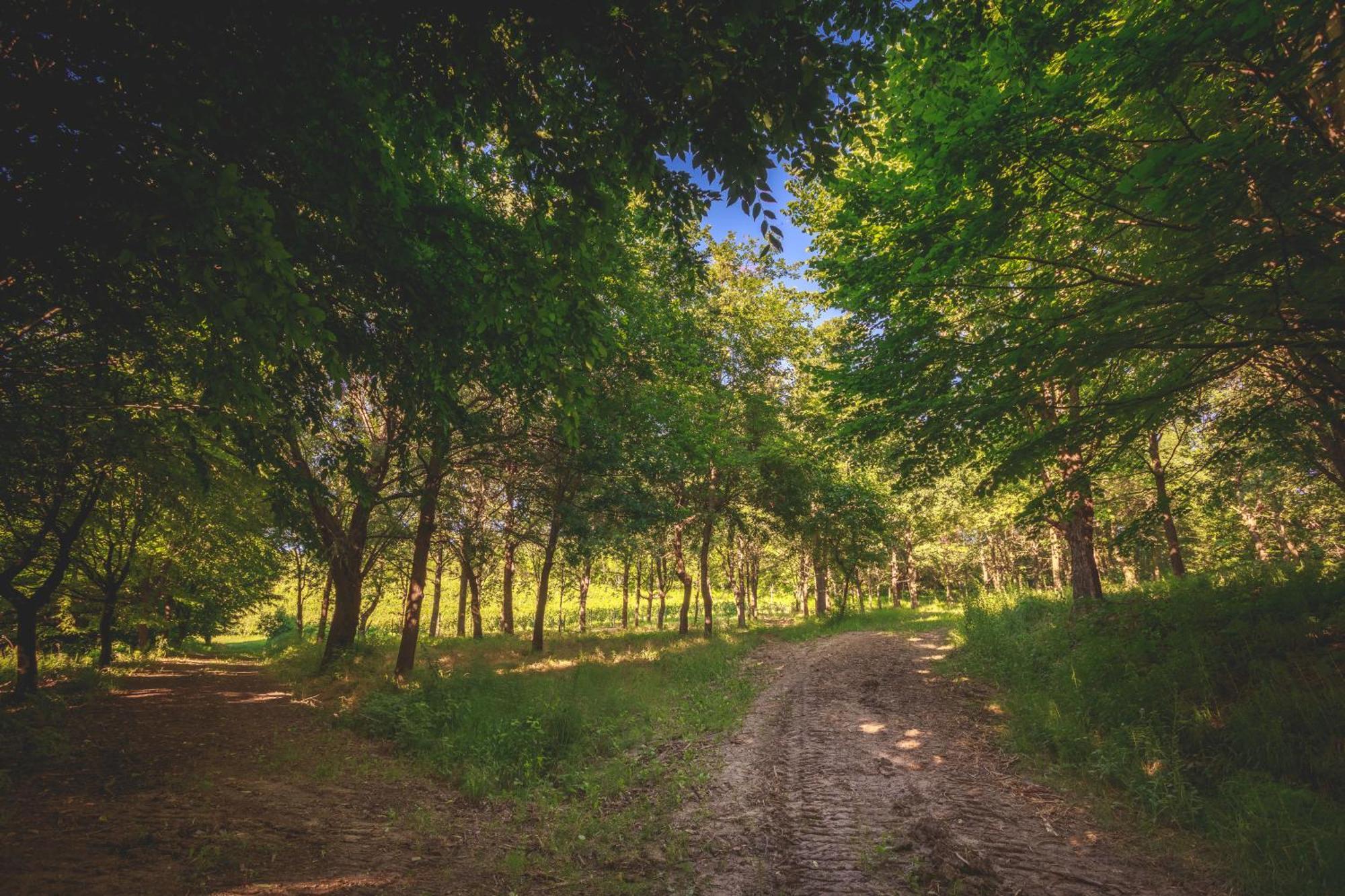 Villa La Meridiana Alba Kültér fotó